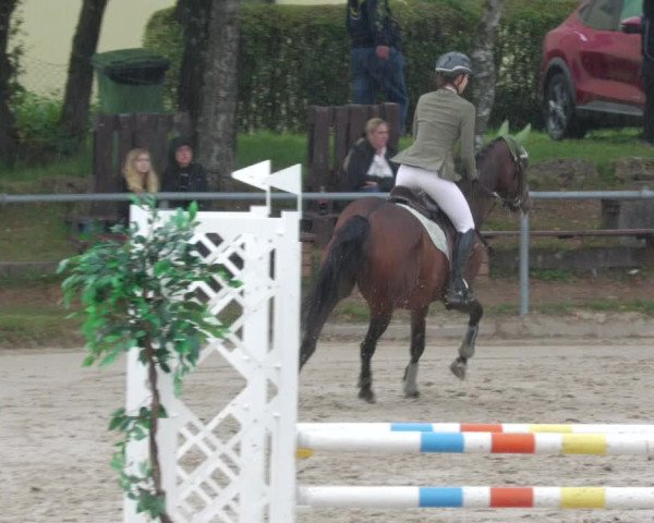 Reitturnier Neunkirchen-City 2022