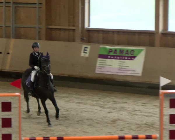 Reitturnier Winterthur 2022