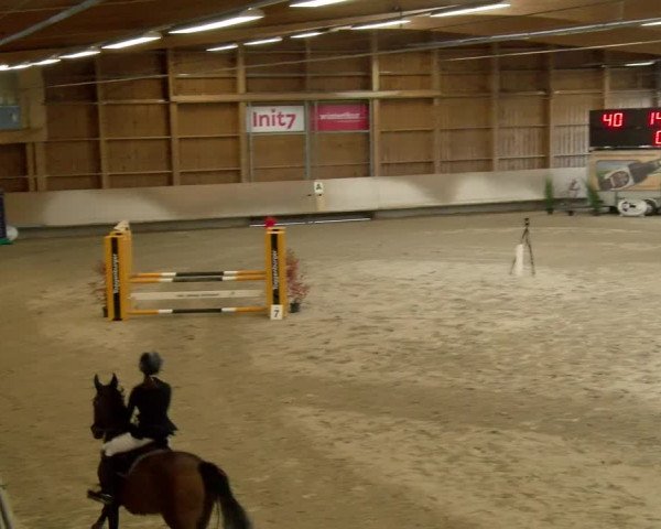 Reitturnier Winterthur 2022