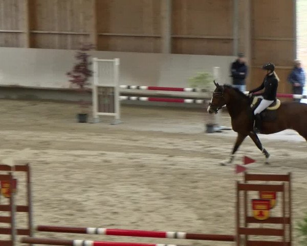 Reitturnier Winterthur 2022