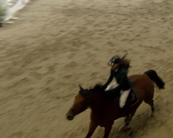 Reitturnier Winterthur 2022