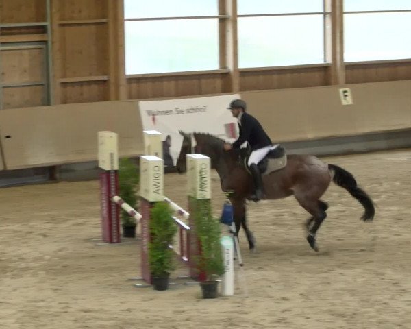 Reitturnier Winterthur 2022