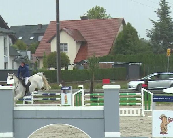 Reitturnier Poxdorf/Ofr 2022