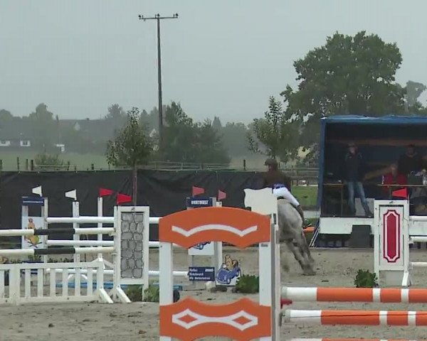 Reitturnier Poxdorf/Ofr 2022