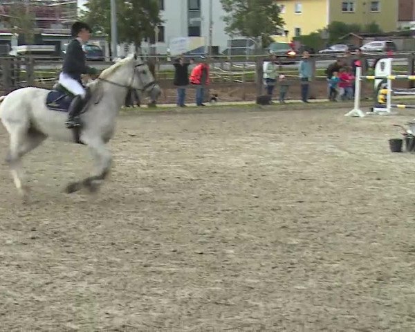 Reitturnier Poxdorf/Ofr 2022