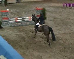 broodmare Luxury Limited Edition (Oldenburg, 2005, from Landor S)