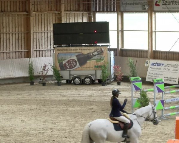 Reitturnier Winterthur 2022