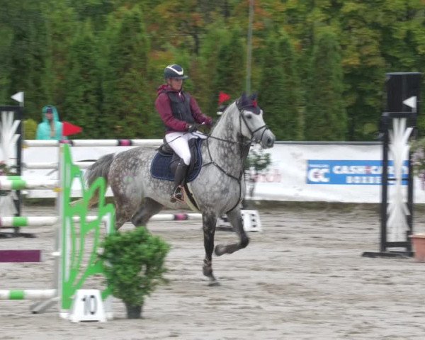 Reitturnier Neunkirchen-City 2022