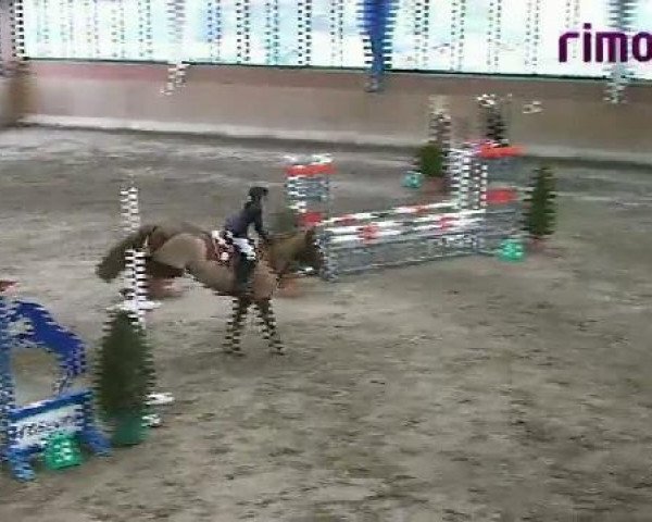 Cavallo da salto Billy 37 (sconosciuto, 1990)