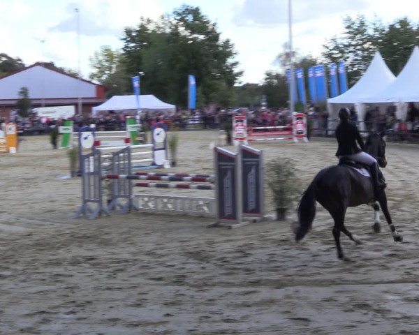 Reitturnier Albersloh 2022