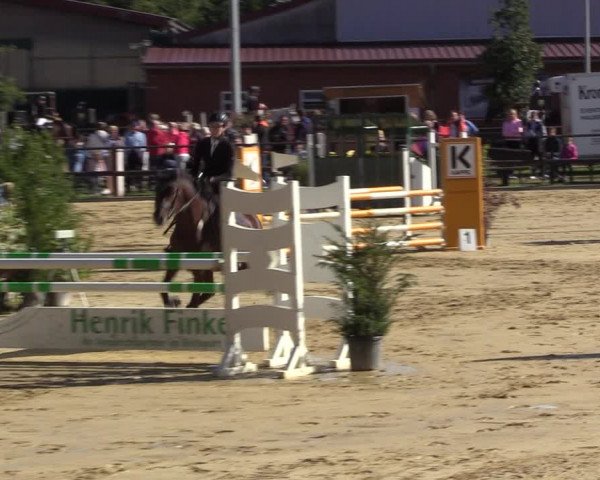 Reitturnier Albersloh 2022