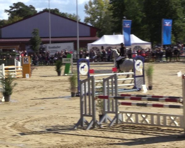 Reitturnier Albersloh 2022