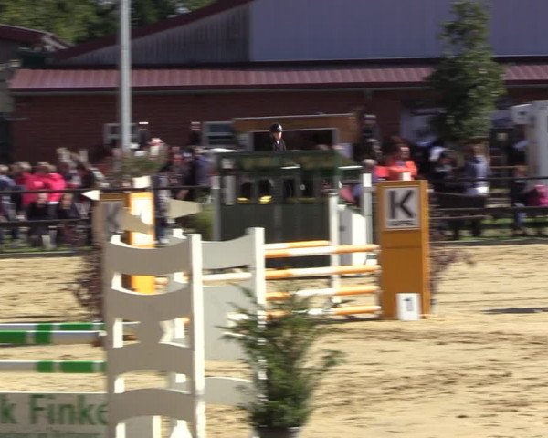 Reitturnier Albersloh 2022