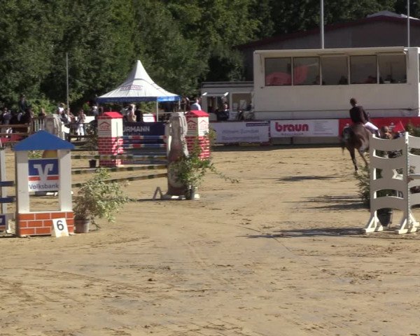 Reitturnier Albersloh 2022