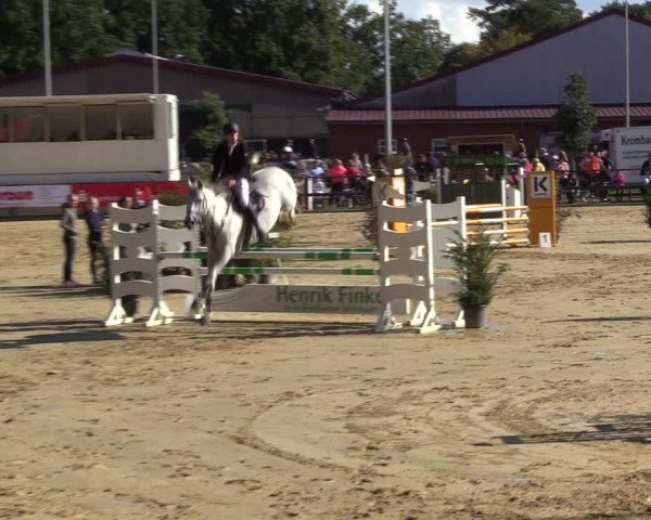 Reitturnier Albersloh 2022
