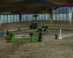 jumper Spirit 174 (unknown, 2003)