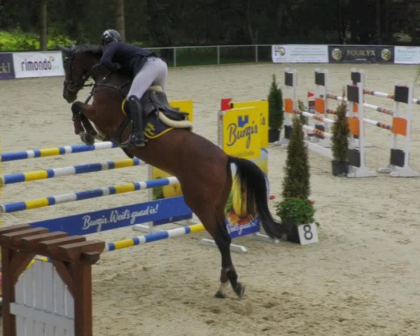 Reitturnier Karlsfeld/Obb. 2022