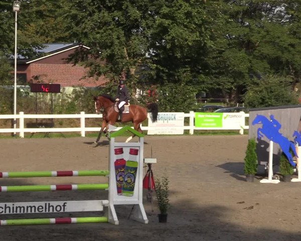 Reitturnier Mildstedt 2022