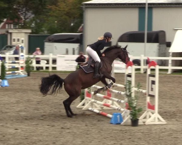 Reitturnier Mildstedt 2022