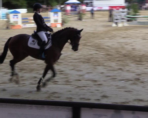 Reitturnier Albersloh 2022
