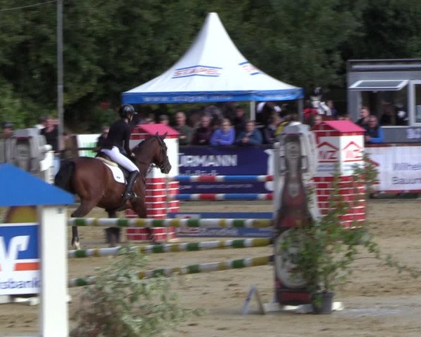 Reitturnier Albersloh 2022