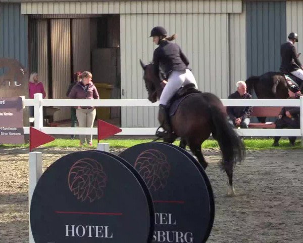 Reitturnier Mildstedt 2022