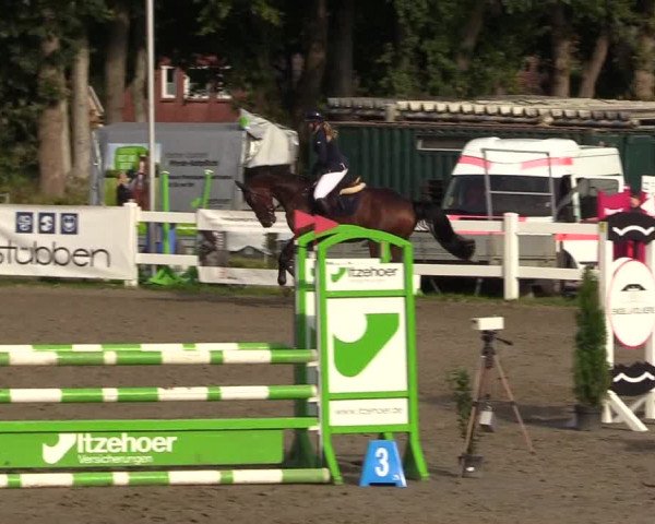 Reitturnier Mildstedt 2022