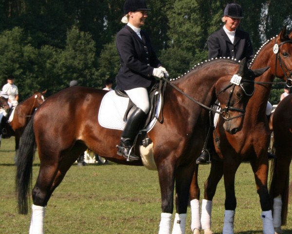 jumper Lancada (Westphalian, 2001, from Lancado)