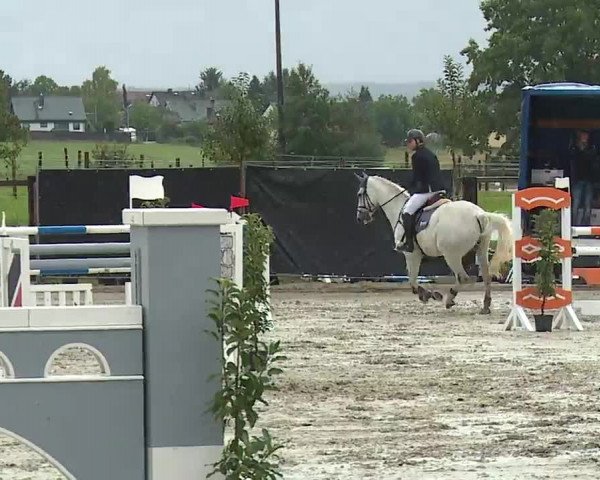 Reitturnier Poxdorf/Ofr 2022