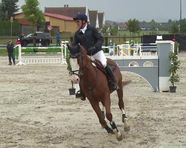Reitturnier Poxdorf/Ofr 2022