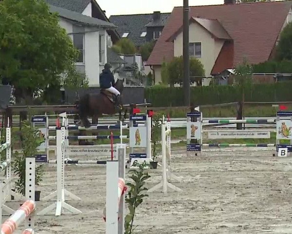 Reitturnier Poxdorf/Ofr 2022