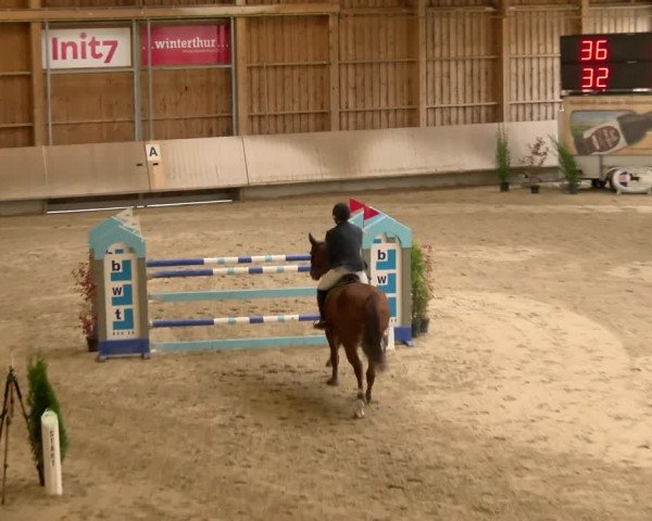 Reitturnier Winterthur 2022