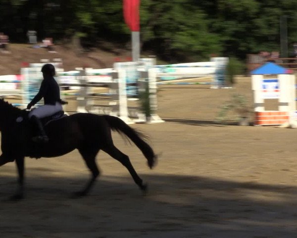 Reitturnier Albersloh 2022