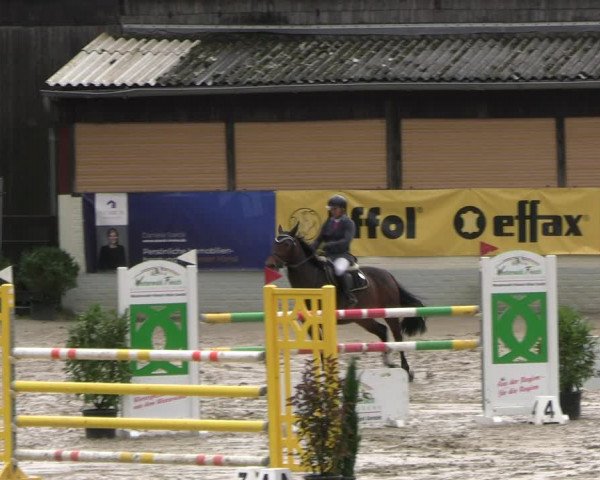 Reitturnier Wachtberg-Adendorf 2022