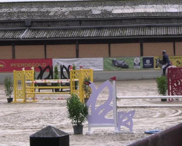 Reitturnier Wachtberg-Adendorf 2022