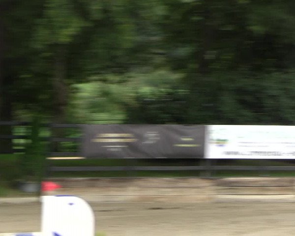 Reitturnier Wachtberg-Adendorf 2022