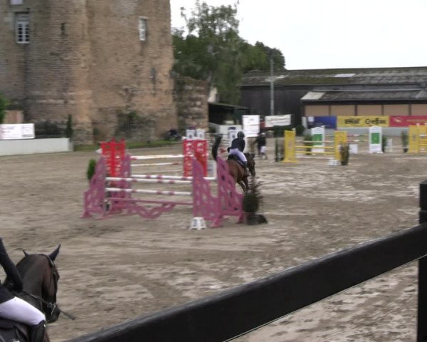 Reitturnier Wachtberg-Adendorf 2022