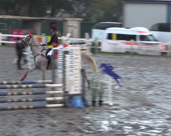 Reitturnier Mildstedt 2022