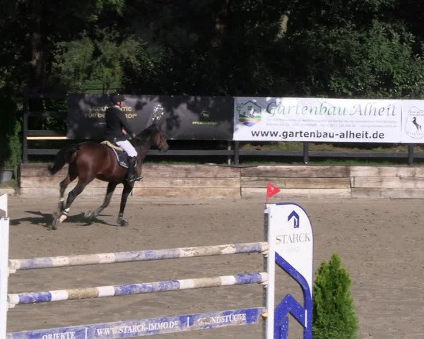 Reitturnier Wachtberg-Adendorf 2022