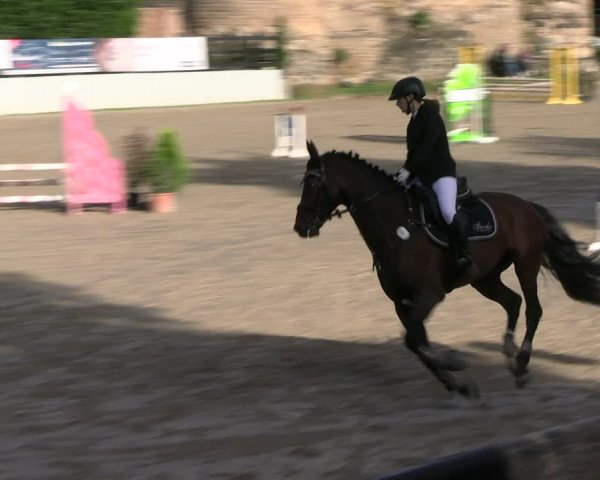 Reitturnier Wachtberg-Adendorf 2022