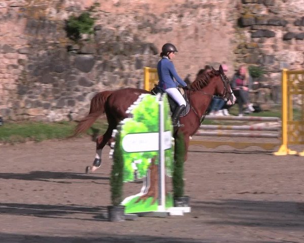 Reitturnier Wachtberg-Adendorf 2022