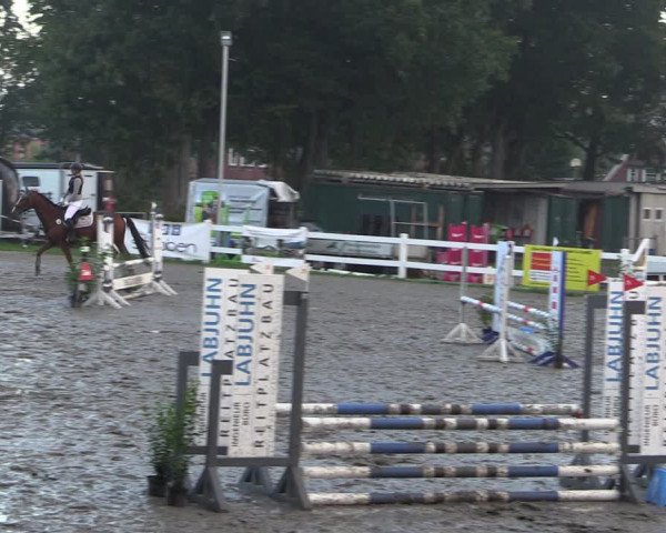 Reitturnier Mildstedt 2022