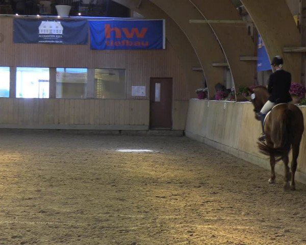 Reitturnier Sörup 2022