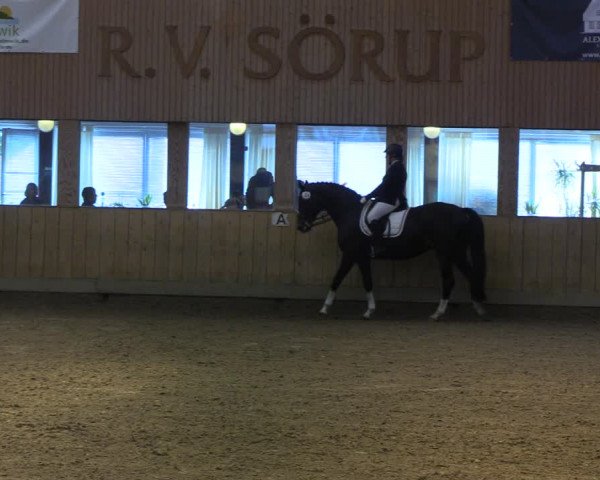 Reitturnier Sörup 2022