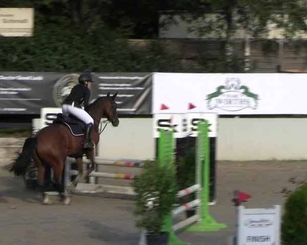 Reitturnier Wachtberg-Adendorf 2022