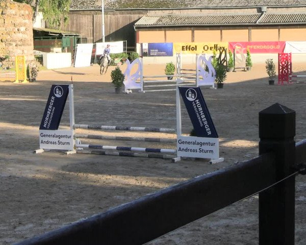 Reitturnier Wachtberg-Adendorf 2022