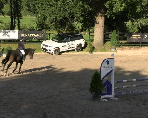 Reitturnier Wachtberg-Adendorf 2022