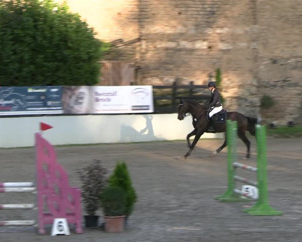 Reitturnier Wachtberg-Adendorf 2022