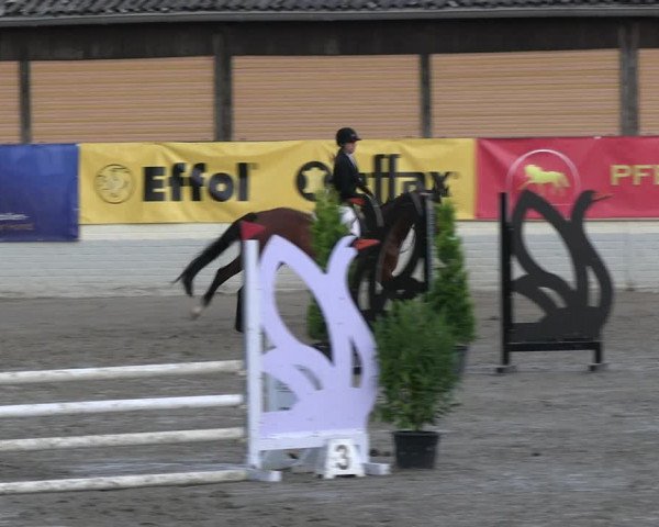 Reitturnier Wachtberg-Adendorf 2022