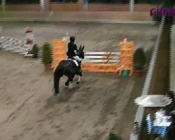 jumper Colliena (Westphalian, 2002, from Collin L)